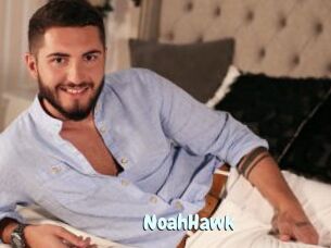 NoahHawk