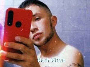 Noah_kitten