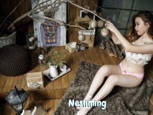 Nesliming