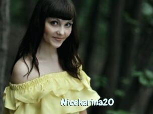 Nicekarina20