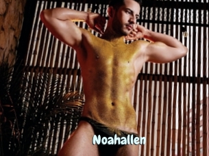 Noahallen