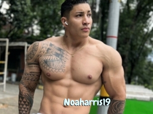 Noaharris19