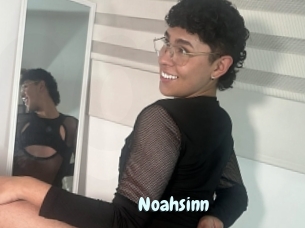 Noahsinn