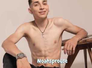 Noahsprouse