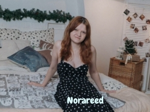 Norareed