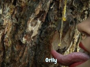 Orlly