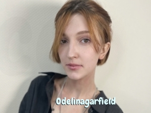 Odelinagarfield