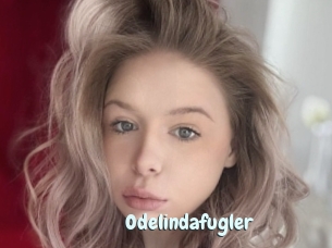 Odelindafugler