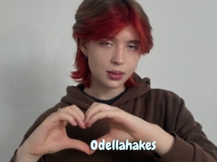 Odellahakes