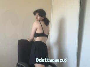 Odettacaecus