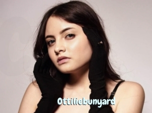 Ottiliebunyard
