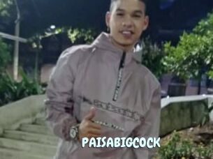 PAISABIGCOCK