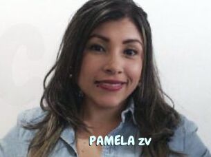 PAMELA_zv