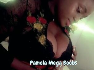 Pamela_Mega_Boobs