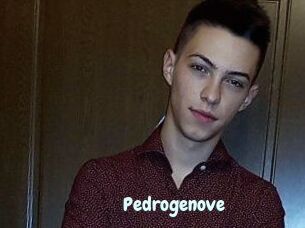 Pedrogenove