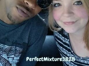 PerfectMixture3828