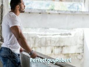 PerfectguyRobert