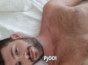 Pj001