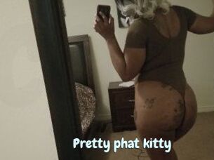 Pretty_phat_kitty