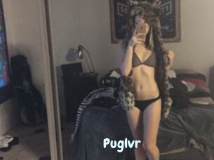 Puglvr