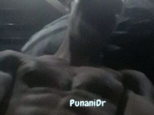 PunaniDr