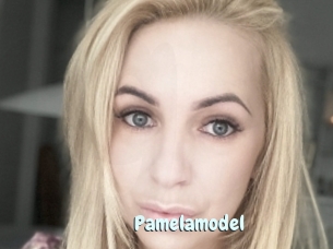 Pamelamodel