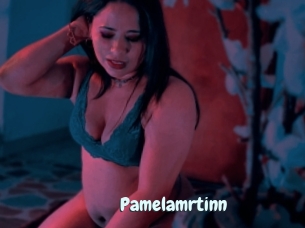 Pamelamrtinn