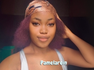 Pamelarein