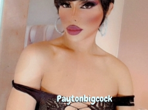 Paytonbigcock