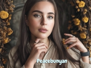 Peacebunyan