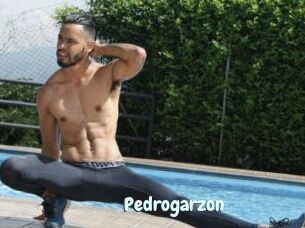 Pedrogarzon