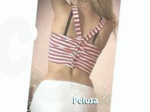 Pelusa