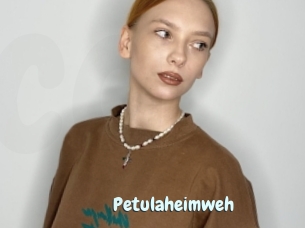 Petulaheimweh