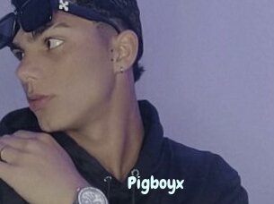 Pigboyx