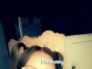Pixbunny