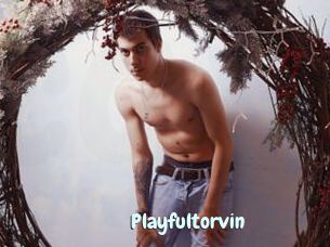 Playfultorvin