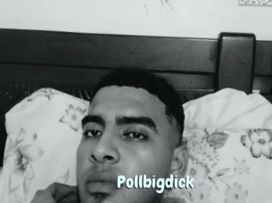 Pollbigdick