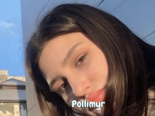 Pollimyr