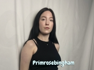 Primrosebingham