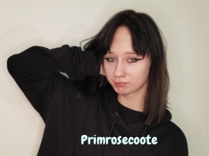 Primrosecoote