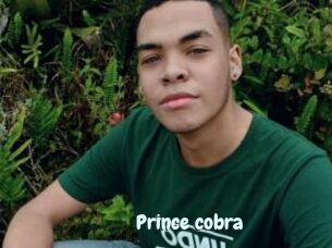 Prince_cobra
