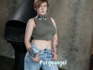 Purgeangel