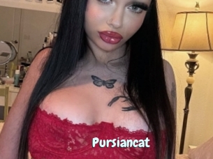 Pursiancat