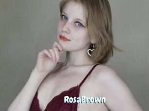 RosaBrown