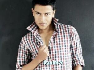 Raulnice