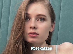 Rosekatten