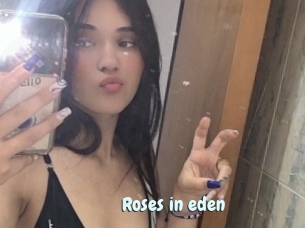 Roses_in_eden