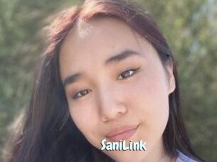 SaniLink