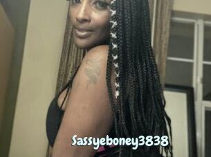 Sassyeboney3838