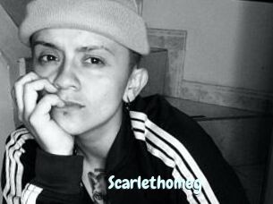 Scarlethomeg